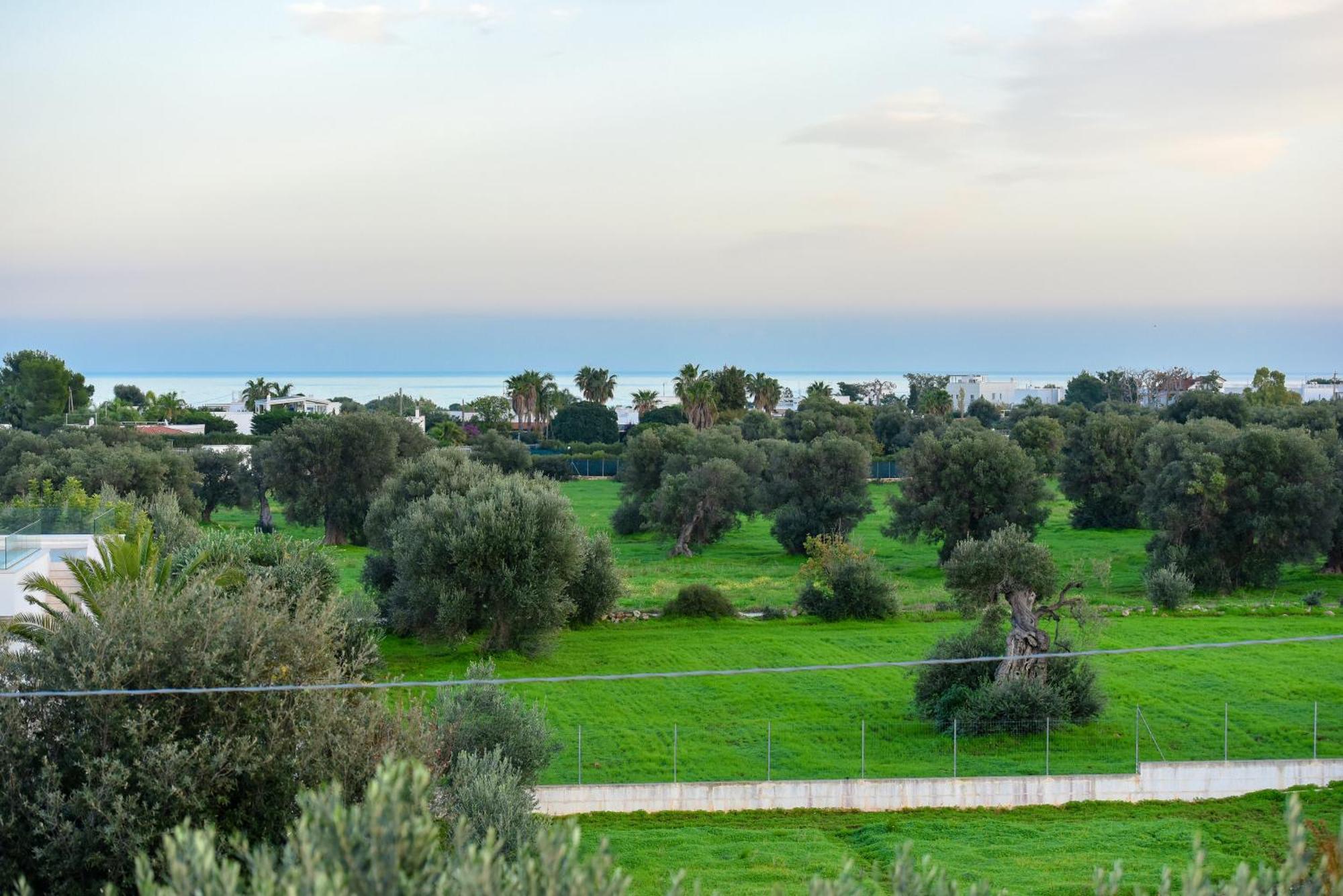 Villa Vinner - Monopoli Eksteriør billede