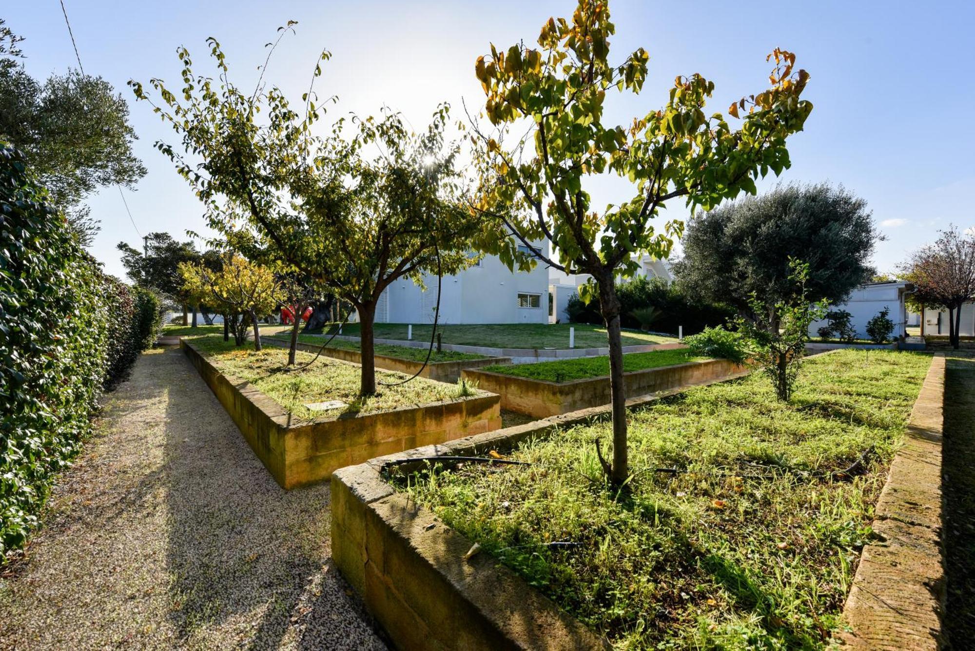 Villa Vinner - Monopoli Eksteriør billede