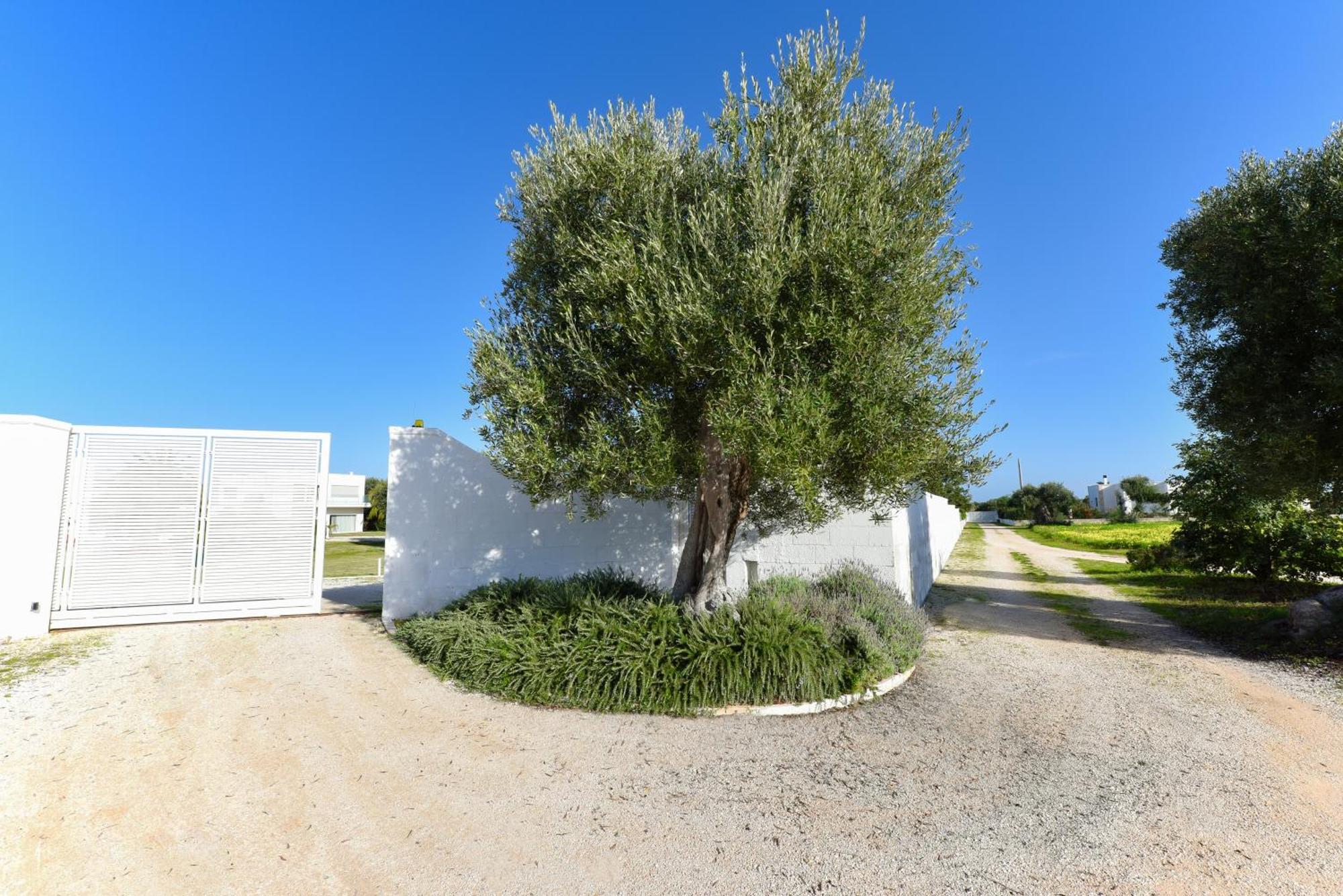 Villa Vinner - Monopoli Eksteriør billede